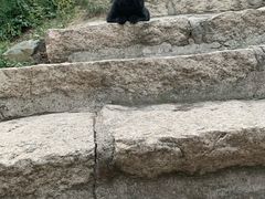 -鬼笑石后山停车场