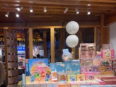 -猫的天空之城概念书店(丽江古城饮玉巷店)