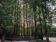 -上海虹桥迎宾馆