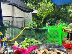 -大眼强五杯鹅·桑拿鸡煲