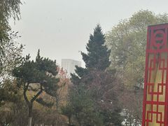 -青海宾馆