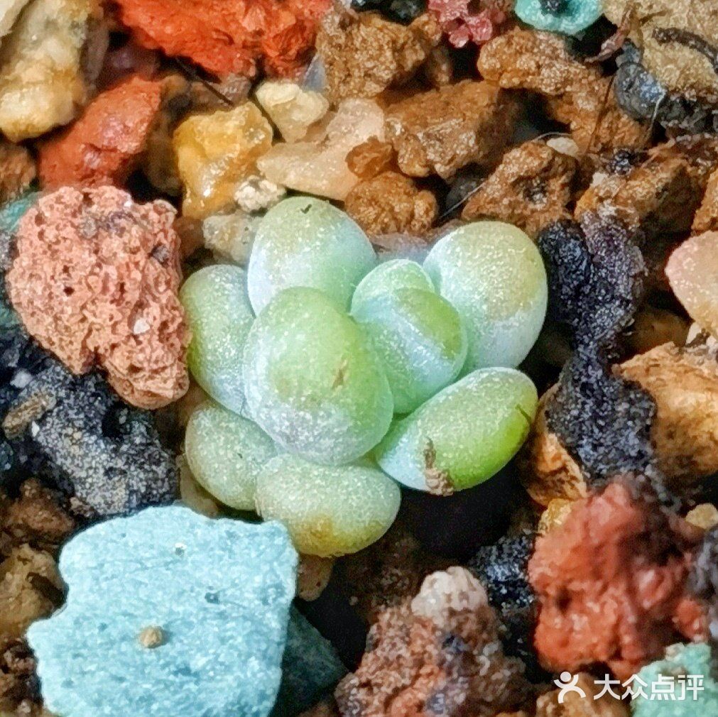 入坑3年 感谢你们的陪伴