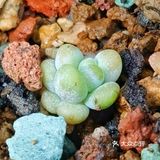 入坑3年 感谢你们的陪伴