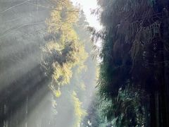 -山王坪喀斯特国家生态公园