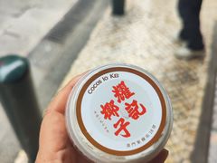 -洪馨椰子