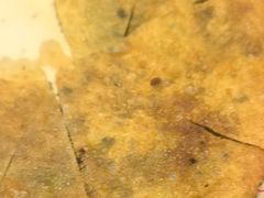 -怪噜范·老贵阳街头名小吃(鸿通城店)