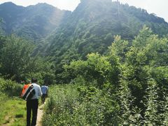 -秦岭风景区