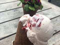 -Patagonia Chocolates(皇后镇店)