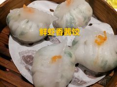 -虾饺妹·酒家(金碧店)