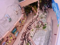 -陕西自然博物馆