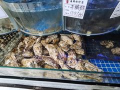 -云南巷海鲜大咖·可加工海鲜