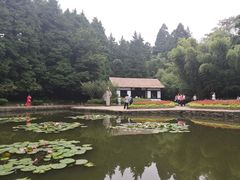 -庐山风景区花径公园