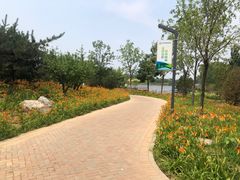 -东郊湿地公园