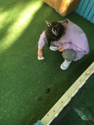 -萌宠亲子动物乐园(槐房万达店)