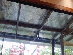 -老灶房-四川土菜(开元店)