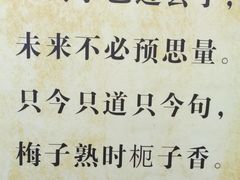 -峨眉山报国寺