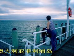 -企鹅岛