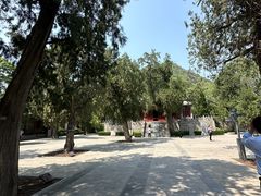 -华山风景区-华阳宫