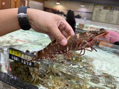 -沙田台山海鲜·酣客酒窖