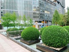 -中央广播电视总台(光华路办公区)