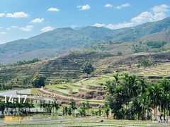 -牙胡梯田景区