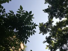 -碓臼峪自然风景区