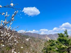-北京鹫峰国家森林公园