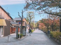 -奈良公园