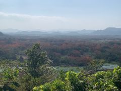 -海南霸王岭国家森林公园