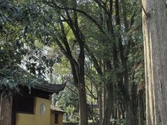 -苏州上方山国家森林公园
