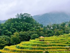-石台牯牛降景区