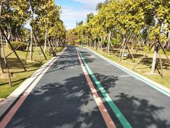 -琅岐红光湖公园