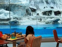 -帝企鹅自助餐厅•儿童岛•真企鹅(长隆企鹅酒店)