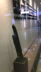 大厅-北京简法造型