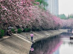 -海棠花溪(元大都城垣遗址公园)