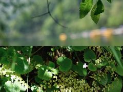 -秦岭终南山世界地质公园翠华山景区