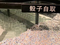 -Bay Area 湾区·Liquor Market Pub 酒类超市清吧