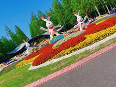 -东平国家森林公园