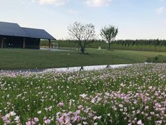 -黄海国家森林公园