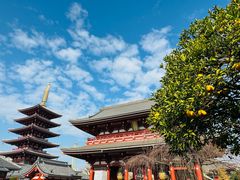 -浅草寺