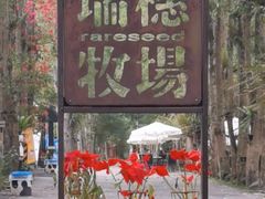 -瑞穗牧场