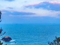 -阿军排档·烧烤