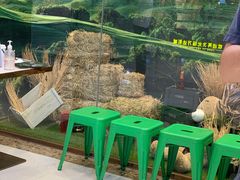 -圣琼美食百汇自助餐(白云万达店)