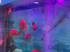 -雅悦齿科(顾村公园店)