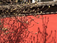 -妙应寺白塔