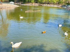-秦皇岛野生动物园
