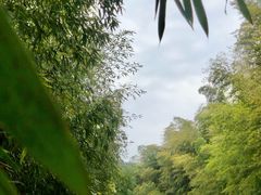 -苏州环秀晓筑养生度假村