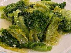 -姚林轩