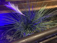 -绿茶餐厅(燕郊永旺店)