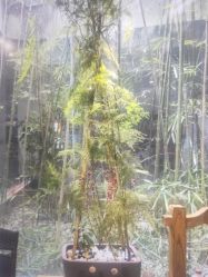 -袁亮今日陶艺(苹果社区总店)